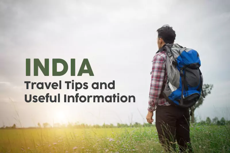 Top Independent Contractors to Invest in Best of Startups