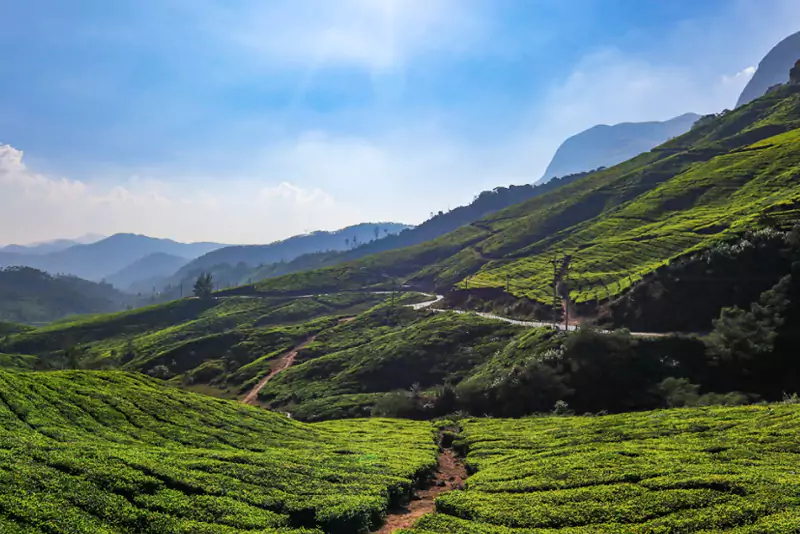 Best Places to Visit in Munnar